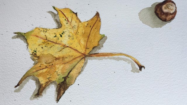 c65e0217-3353-4977-bb6e-0e199e1180df